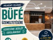 A hozzászólás lehetőségét kikapcsolták ennél a bejegyzésnél….