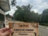 A HSZC Szentesi Zsoldos Ferenc Technikum hírei…