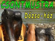 CSONTMUSTRA…