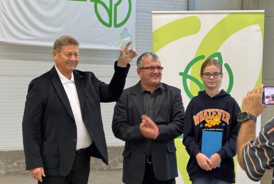 Harminc év, két generáció és százmillió palánta…