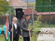 Lőrincz Márton olimpiai tölgyfájából sarjadt csemetét ültettek Korondon…