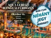Már csak néhány jegy maradt!…
