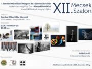 XII. Mecsek Szalon – Éves kiállítás Szentesen!…